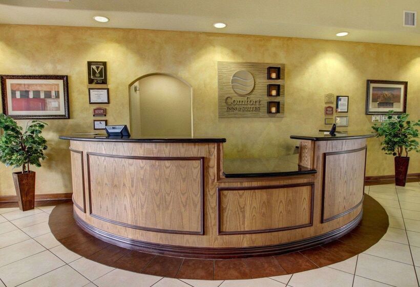 فندق Comfort Inn & Suites