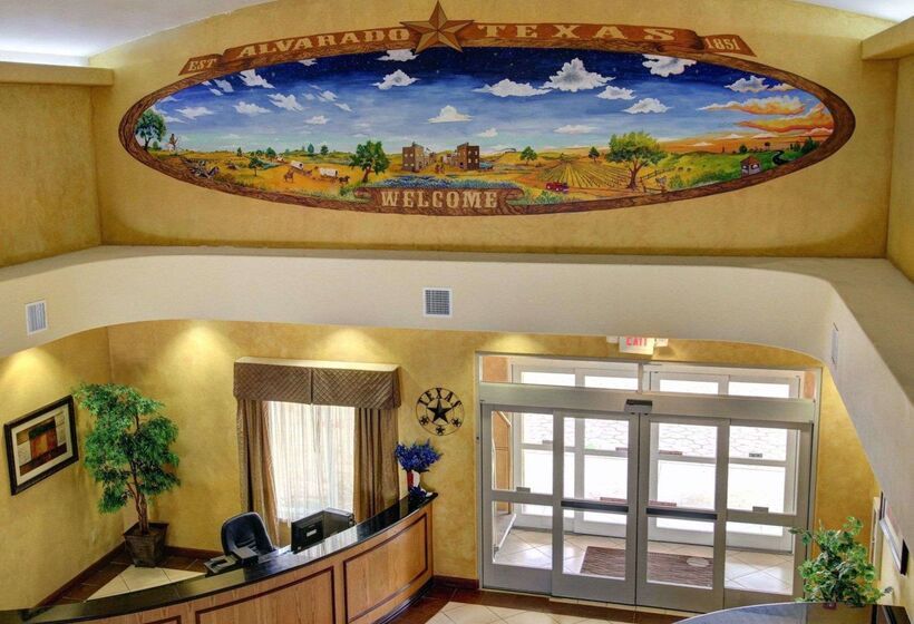 فندق Comfort Inn & Suites