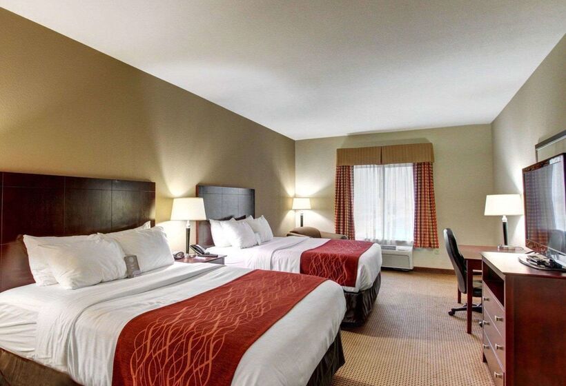 فندق Comfort Inn & Suites