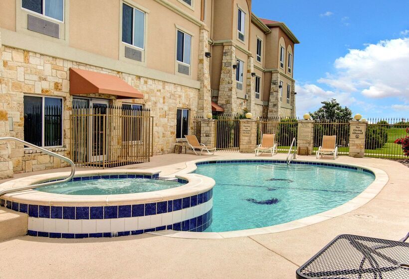 فندق Comfort Inn & Suites