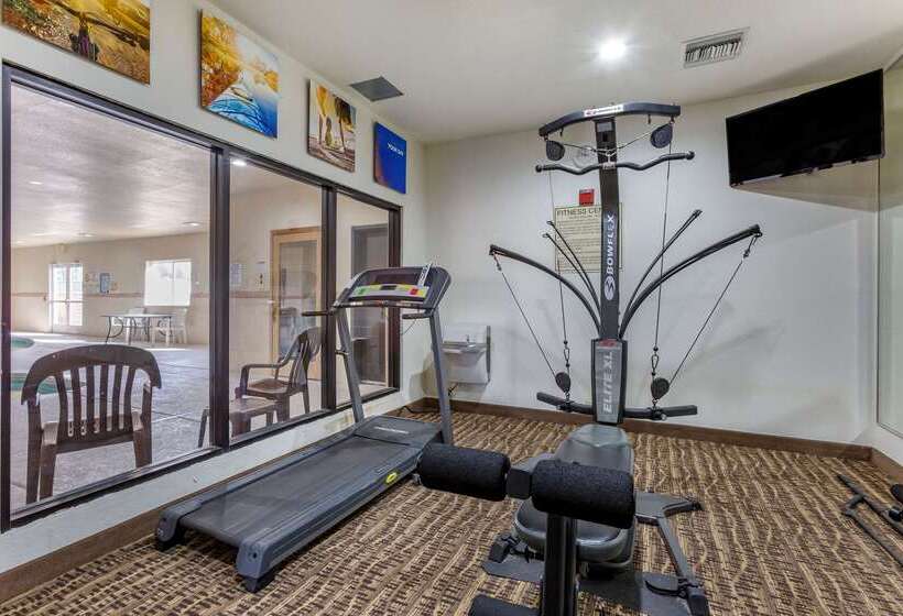 فندق Comfort Inn & Suites