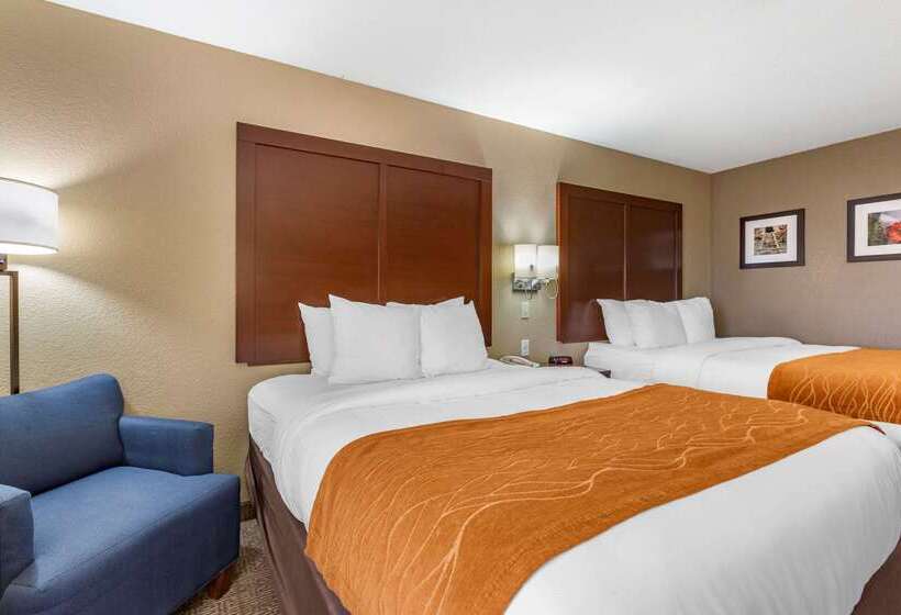 فندق Comfort Inn & Suites