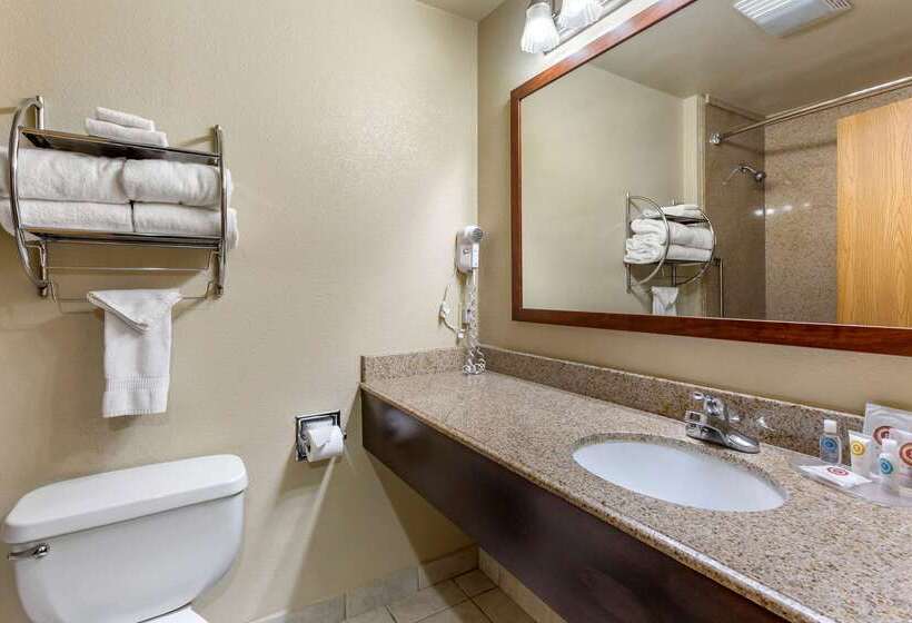 酒店 Comfort Inn & Suites