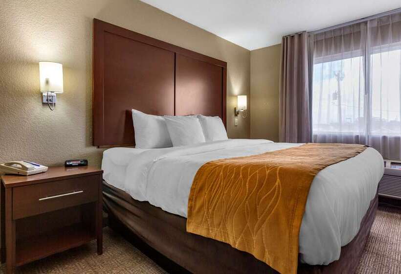 فندق Comfort Inn & Suites