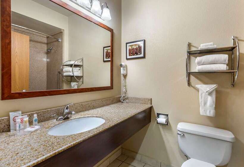 酒店 Comfort Inn & Suites