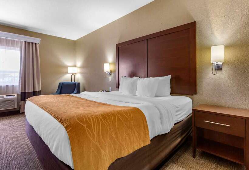 فندق Comfort Inn & Suites