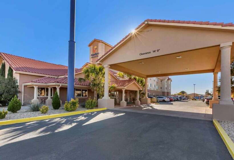 酒店 Comfort Inn & Suites