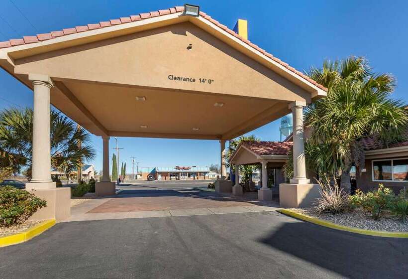 酒店 Comfort Inn & Suites