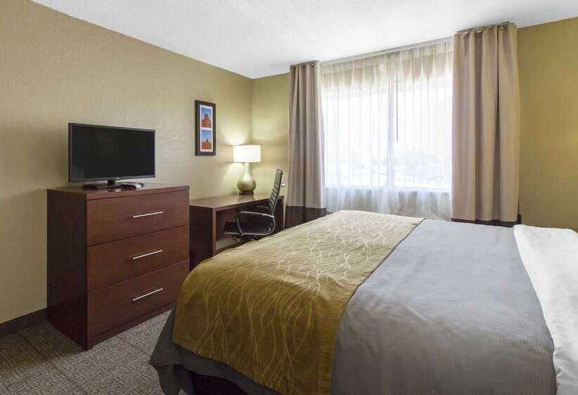 酒店 Comfort Inn & Suites