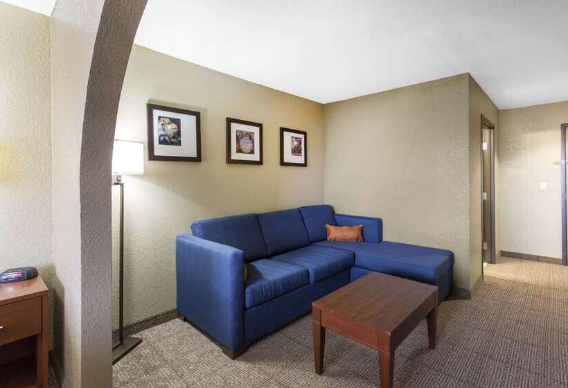 酒店 Comfort Inn & Suites