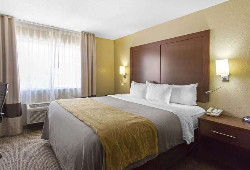 酒店 Comfort Inn & Suites