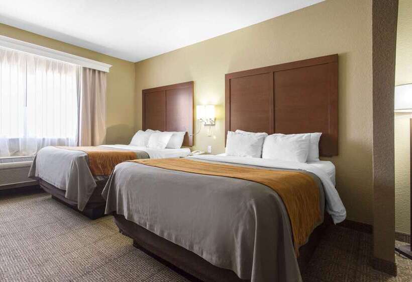 酒店 Comfort Inn & Suites