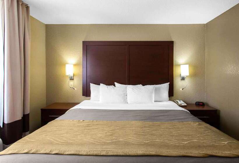 酒店 Comfort Inn & Suites