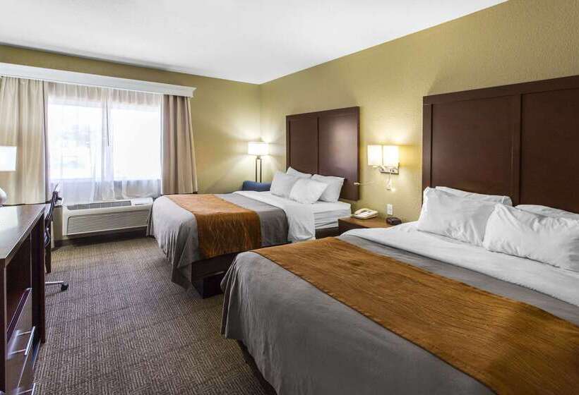 酒店 Comfort Inn & Suites