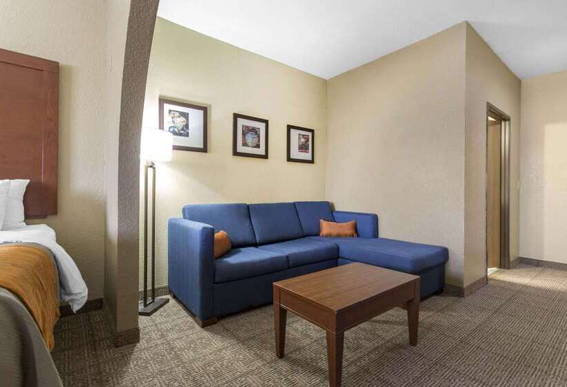 酒店 Comfort Inn & Suites