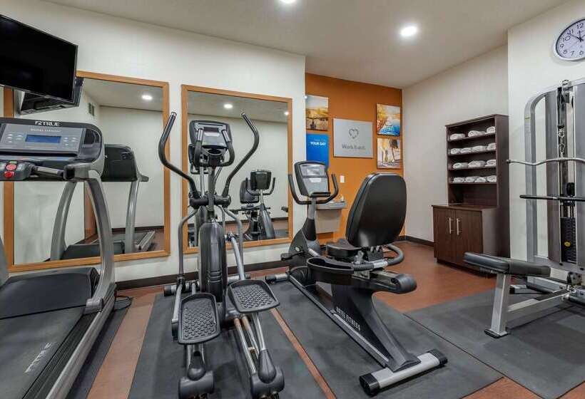 فندق Comfort Suites Auburn Near I69