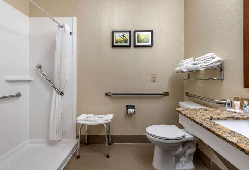 فندق Comfort Suites Auburn Near I69