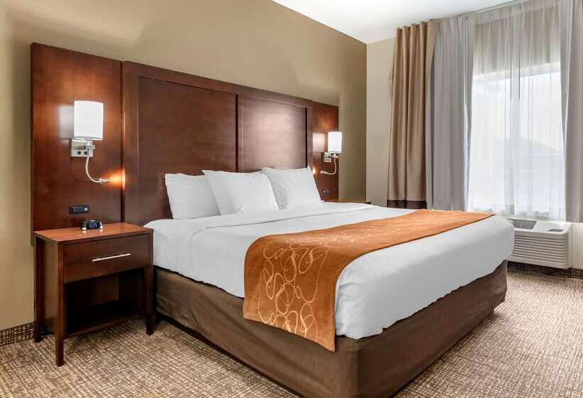 בית מלון כפרי Comfort Suites Auburn Near I69