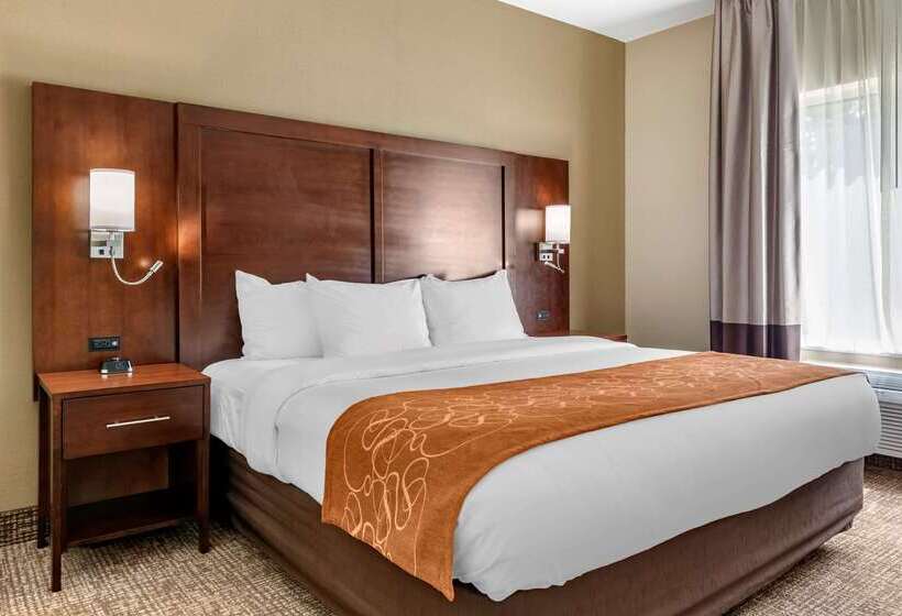 בית מלון כפרי Comfort Suites Auburn Near I69