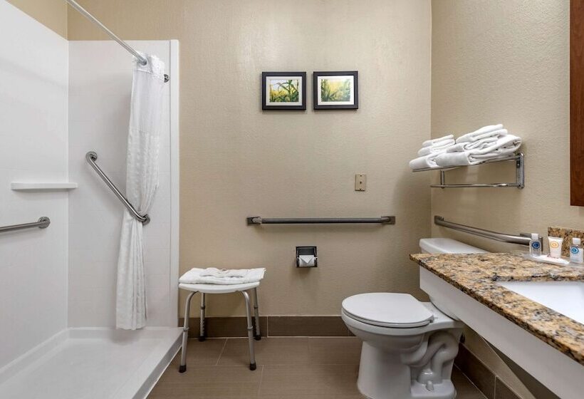 فندق Comfort Suites Auburn Near I69