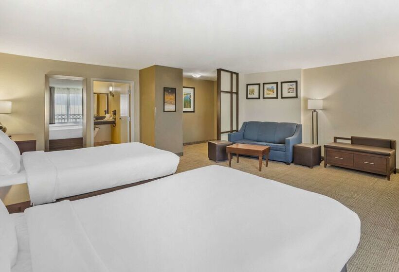 Отель Comfort Suites