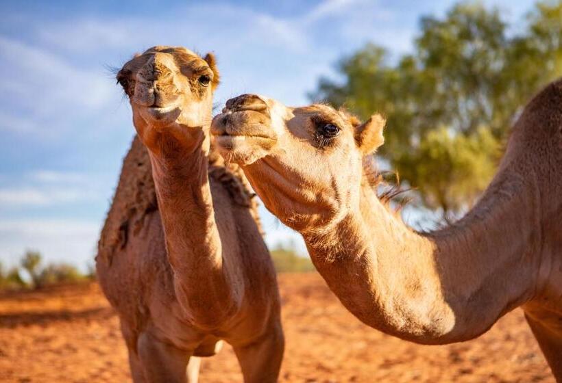 فندق Erldunda Desert Oaks Resort