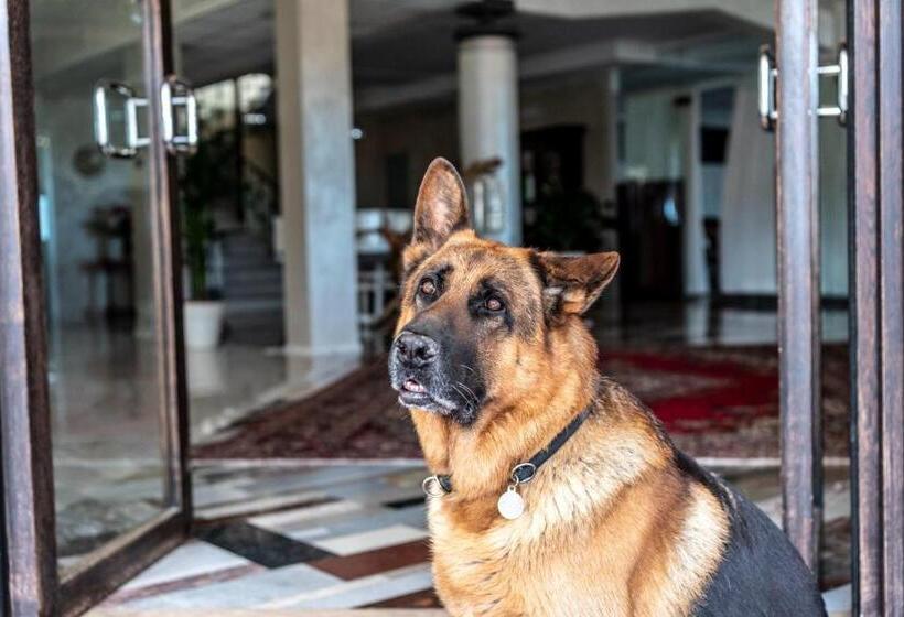 בית מלון כפרי Fantinello