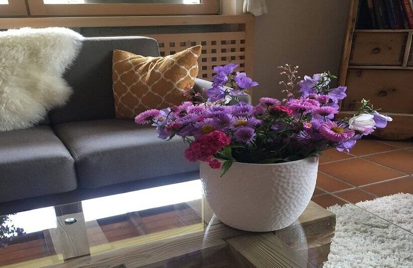 호텔 Fedaia Joy B&b