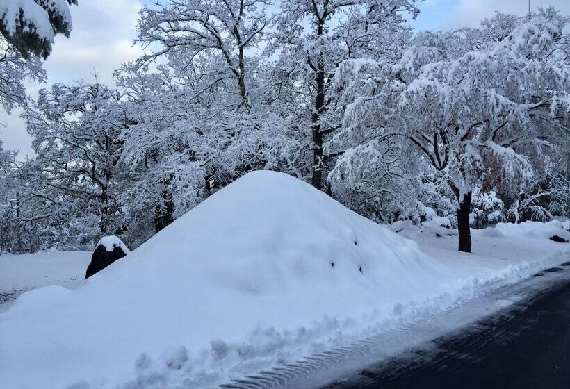 فندق Fuji Mihana Resort