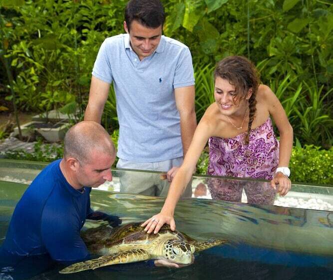 בית מלון כפרי Gaya Island Resort