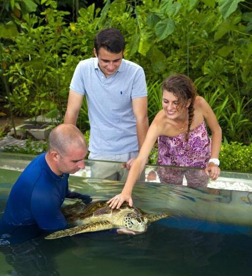 בית מלון כפרי Gaya Island Resort