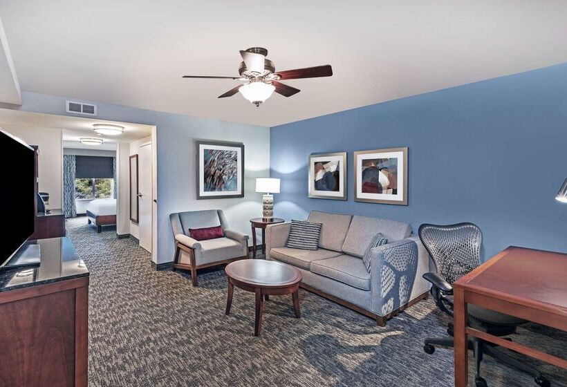 فندق Hilton Garden Inn Aiken