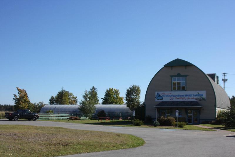 酒店 Holiday Inn Express Deer Lake, An Ihg