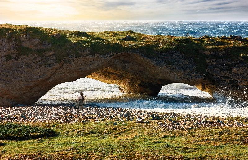 酒店 Holiday Inn Express Deer Lake, An Ihg