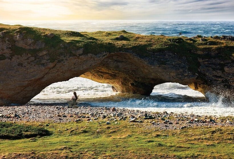 酒店 Holiday Inn Express Deer Lake, An Ihg