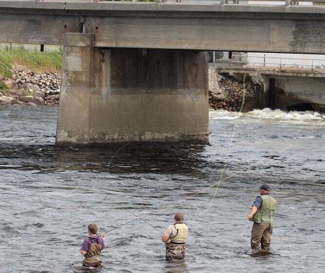 酒店 Holiday Inn Express Deer Lake, An Ihg