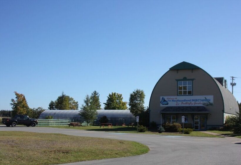 酒店 Holiday Inn Express Deer Lake, An Ihg