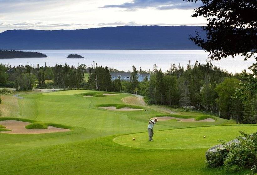 酒店 Holiday Inn Express Deer Lake, An Ihg