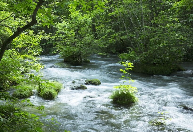 酒店 Hoshino Resorts Oirase Keiryu