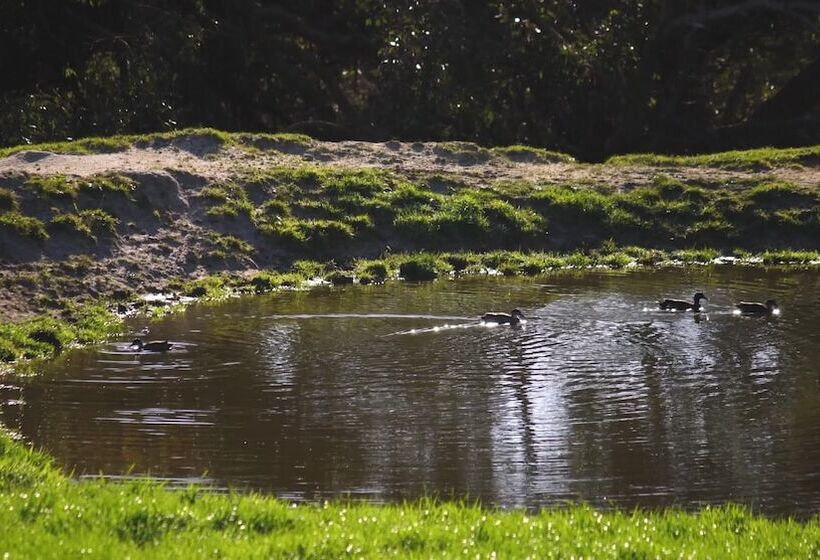 בית מלון כפרי Limosa Rise