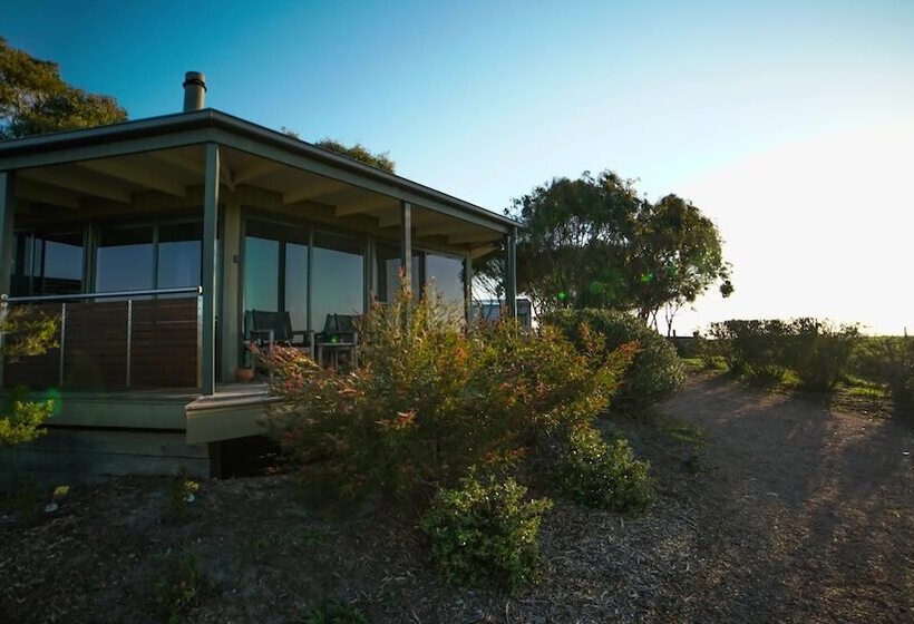 בית מלון כפרי Limosa Rise