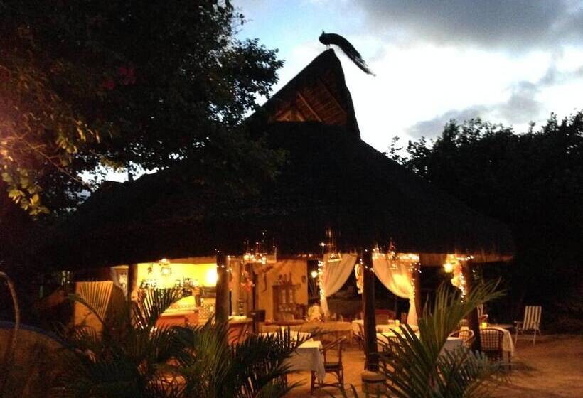 ホテル Pipa Selfness