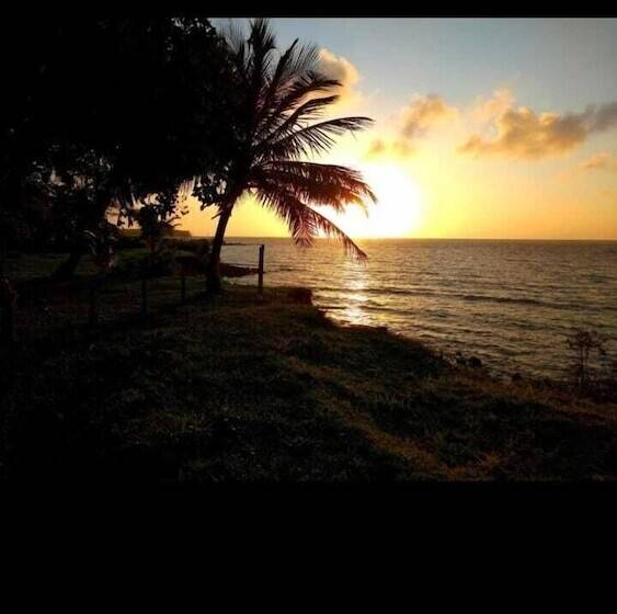 ホテル Pousada Bosque Dos Aruas