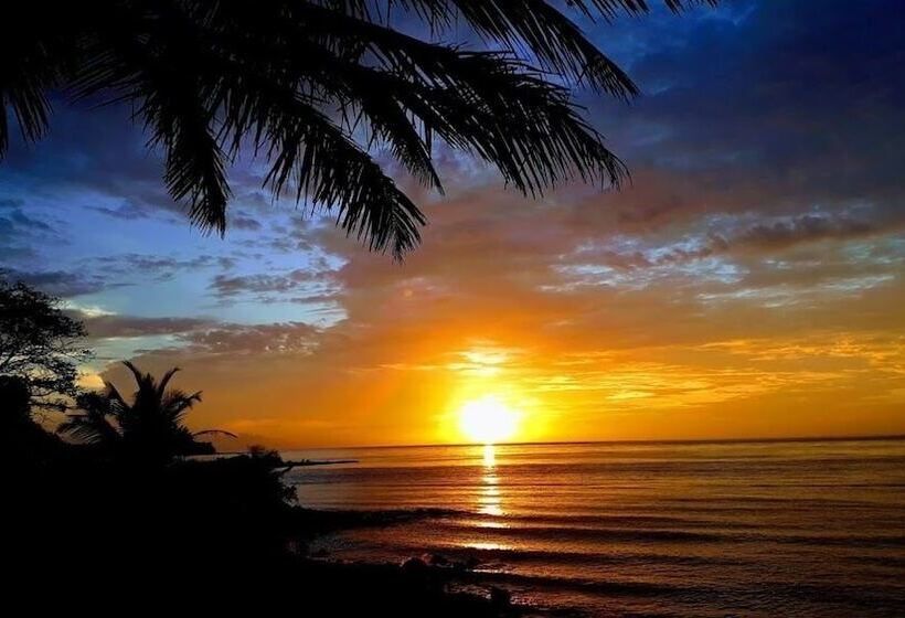 ホテル Pousada Bosque Dos Aruas