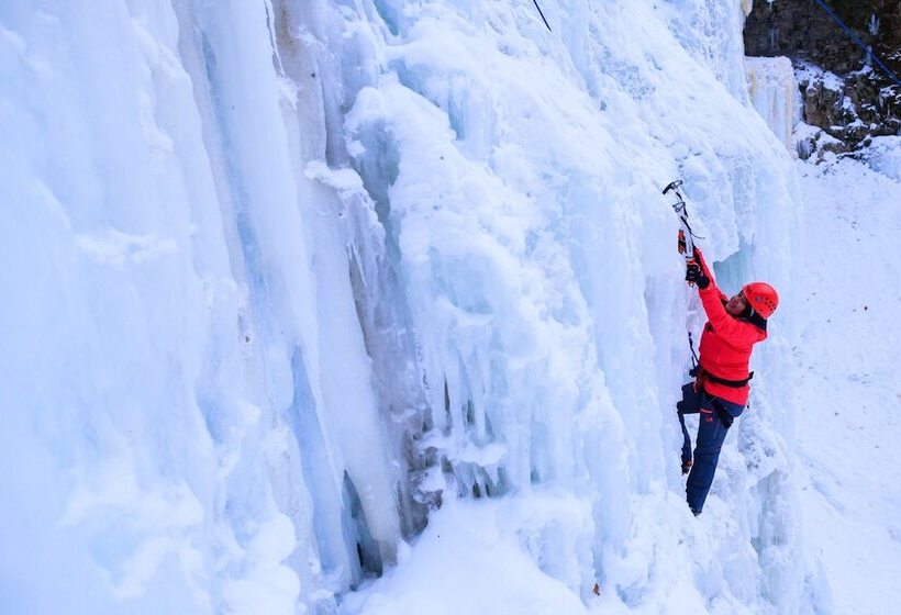 酒店 Staybridge Suites Hamilton   Downtown, An Ihg