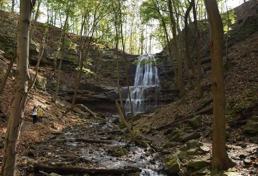 酒店 Staybridge Suites Hamilton   Downtown, An Ihg