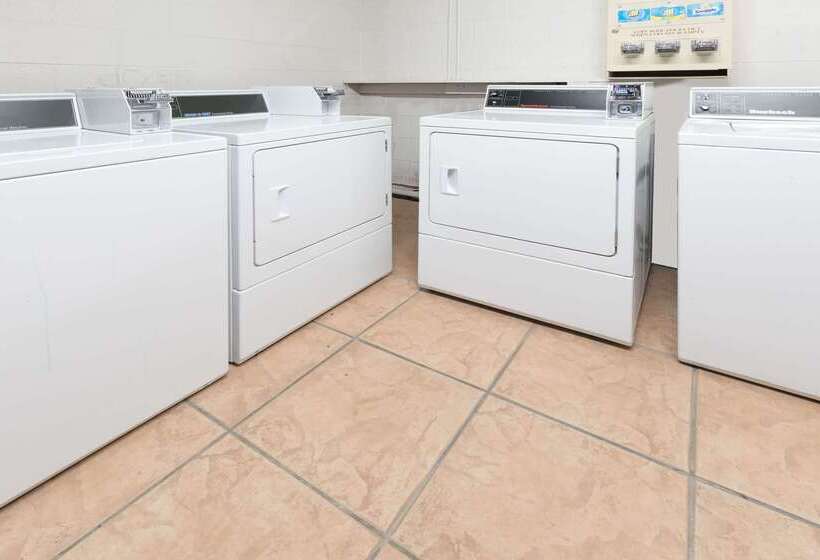 ホテル Super 8 By Wyndham Ft Stockton