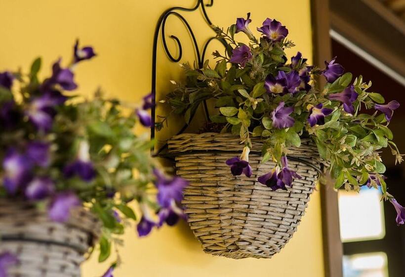 בית מלון כפרי Vila Olaria