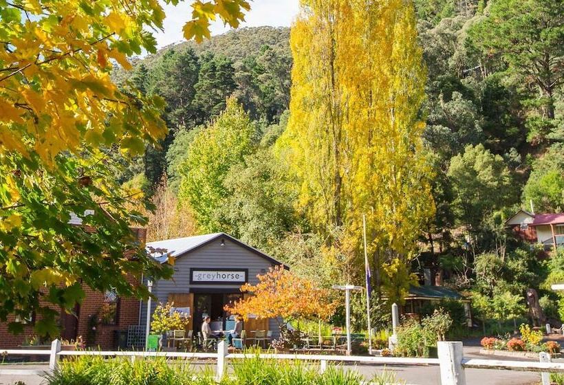 酒店 Walhallas Star