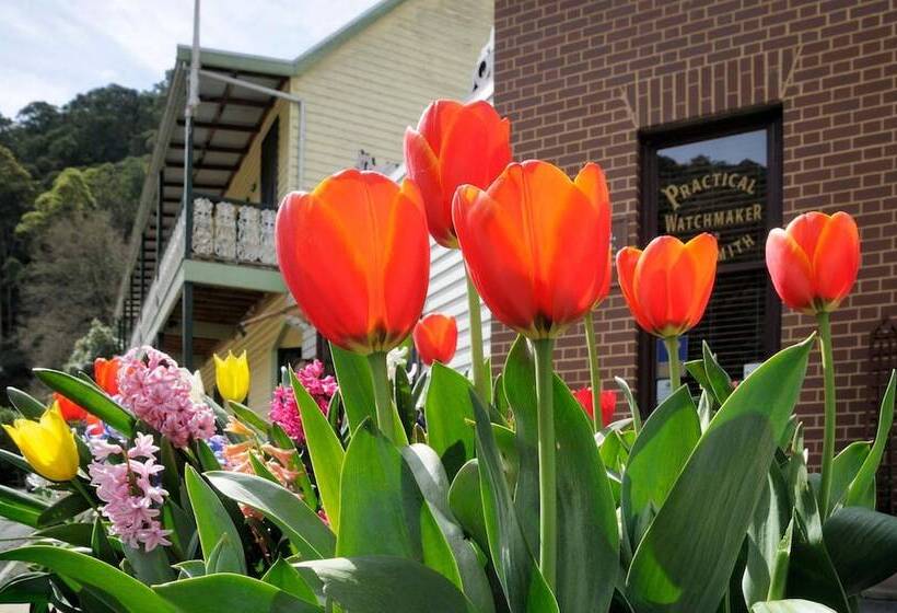 Отель Walhallas Star